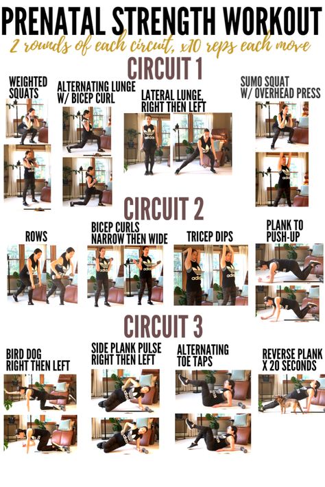 Prenatal Back Workout, Prenatal Workout At Home, Prenatal Strength Training, Third Trimester Full Body Workout, 1st Trimester Workout Plan, Prenatal Upper Body Workout, Pregnant Full Body Workout, Full Body Workout At Home Pregnant, 2nd Trimester Workouts Gym