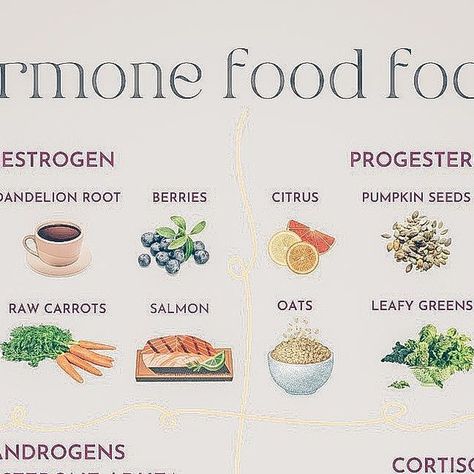 Hormone Foods, Cortisol Diet, Estrogen Foods, Excess Estrogen, Dandelion Root Tea, Low Estrogen Symptoms, Improve Nutrition, Too Much Estrogen, Raw Carrots