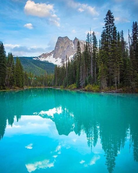 Emerald Lake, Canada ~ 🇨🇦 Emerald Lake Canada, Yoho National Park Canada, Yoho National Park, Emerald Lake, Lake Lodge, Travel Japan, Autumn Scenery, Landscape Pictures, Beautiful Mountains