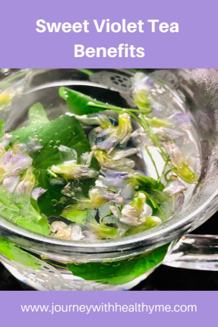 Sweet Violet Tea Benefits - Journey With Healthy Me Violet Tea Recipe, Violet Tea, Edible Flowers Recipes, Herbal Recipes, Tea Benefits, Sweet Violets, Organic Honey, Wild Edibles, Natural Health Remedies