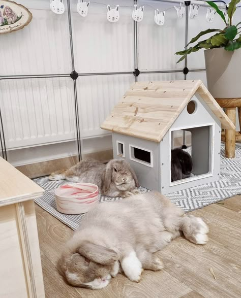 Bunny Play Pen, Bunny Room Ideas, Pet Bunny House, Bunny Enclosure, Bunny Setup, Diy Bunny Cage, Indoor Rabbit House, Indoor Rabbit Cage, Rabbit Room