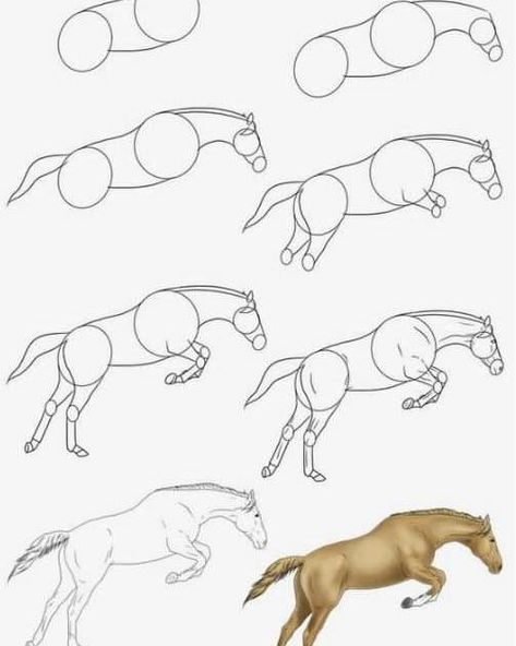 Drawing Ideas ✏️ | Jumping horse tutorial Horse Tutorial, Horse Drawing Tutorial, Ride Drawing, Horse Art Drawing, Jumping Horse, Horse Sketch, Horse Anatomy, Color Drawing Art, Basic Drawing