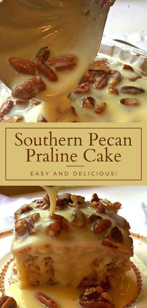 Southern Pecan Praline Cake, Pecan Praline Cake, Holiday Desserts Thanksgiving, Dessert Thanksgiving, Southern Recipes Desserts, Praline Cake, Praline Recipe, Future Chef, Pecan Praline