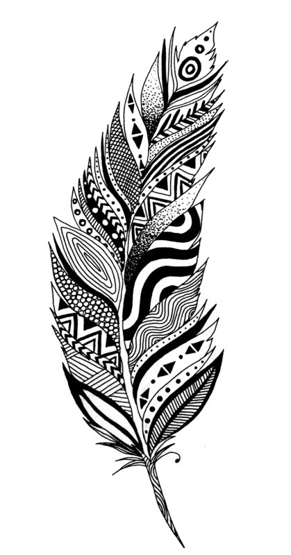 Feather Tattoos For Women On Arm, Creative Drawings Unique, Unique Mandala Drawing, Feather Doodle, Vector Free Png, Zebra Tattoo, Drawing Professional, Drosophila Melanogaster, Boho Vector