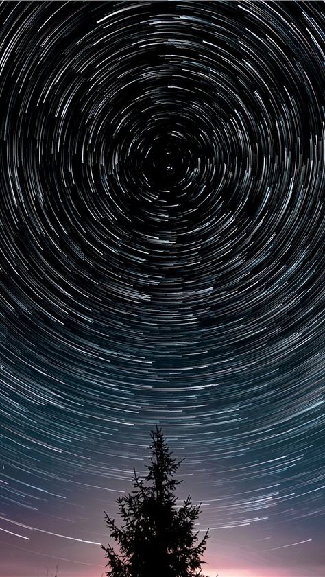 Beautiful Night Sky, Iphone Wallpaper Sky, Night Sky Wallpaper, Phone Screen Wallpaper, Star Trails, Scenic Photography, Plant Tree, Iphone Prints, Pattern Iphone Case