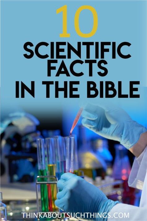 Did You Know Bible Facts, Bible Facts Strange, Weather In The Bible, Interesting Bible Study Topics, Bible Fun Facts, Bible Facts For Kids, Bible And Science, What Each Book Of The Bible Is About, Bible Science Experiments