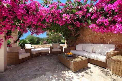 Bougainvillea vines cover a pergola in this outdoor oasis! #outdoorspaces #springflowers Outdoor Seating Area, Bougainvillea, Exotic Plants, Outdoor Rooms, Dream Garden, Small Backyard, Backyard Patio, Backyard Garden, Outdoor Seating