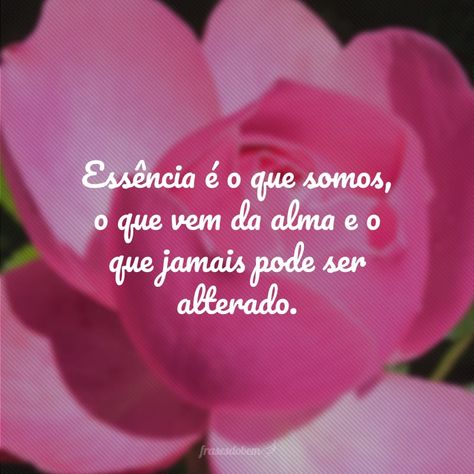 Quotes, Bonito