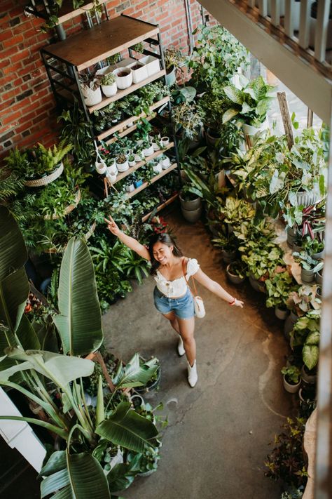 Plant Shop Ideas, Glee Wallpaper, Plant Shops, Plant Business, Capitol Hill Seattle, Wallpaper Inspirational, Inspirational Wallpaper, Growing Bulbs, Plant Store