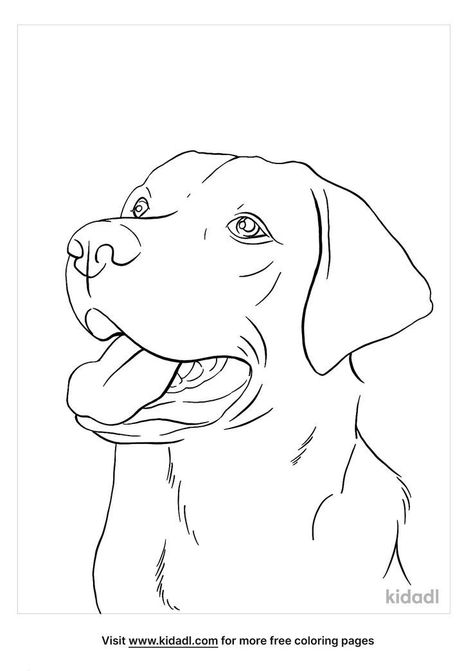 Dog Face Drawing, Tatoo Dog, Dog Drawing Tutorial, Dog Watercolor Painting, Dog Outline, Dog Line Art, Dog Watercolor, Watercolor Dog, Outline Drawings