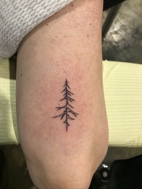 Single Line Pine Tree Tattoo, Ornamental Tree Tattoo, 3 Lines Tattoo, Fine Line Pine Tree Tattoo, Simple Pine Tree Tattoo, Line Tree Tattoo, Fine Line Nature Tattoo, Minimalist Tree Tattoo, Tree Tattoo Simple