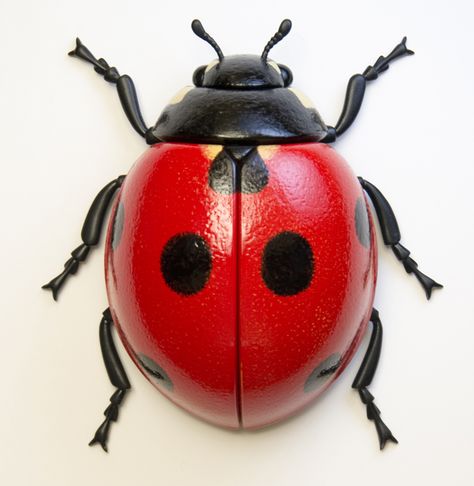 Lady Bug, Wall, Red, White, Black