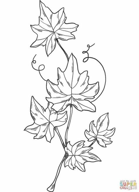 Ivy Vines Drawing Simple, Ivy Branch Tattoo, Poison Ivy Vine Drawing, Ivy Line Art, Ivy Plant Tattoo, Ivy Leaf Drawing, Ivy Leaves Tattoo, Ivy Leaf Tattoo, Ivy Tattoo Design