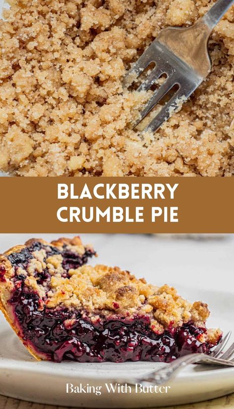 Amazing Blackberry Crumble Pie - ideal for a summer dessert or special gathering. Blackberry Crumble Pie Recipes, Wild Blackberry Pie, Blackberry Cobbler With Pie Crust, Blackberry Crumble Pie, Fresh Blackberry Pie, Blackberry Pie Filling, Pie Crumble Topping, Blackberry Dessert Recipes, Blackberry Pie Recipe