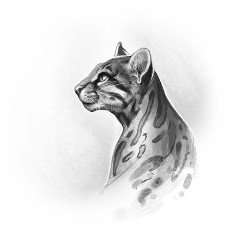 ♥ Animals in Art ♥ by GaiasAngel Croquis, Ocelot Tattoo Design, Ocelot Tattoo, Base Tattoo, Boho Tattoo, Animal Tattoo Ideas, Boho Tattoos, Animal Drawings Sketches, Big Cats Art