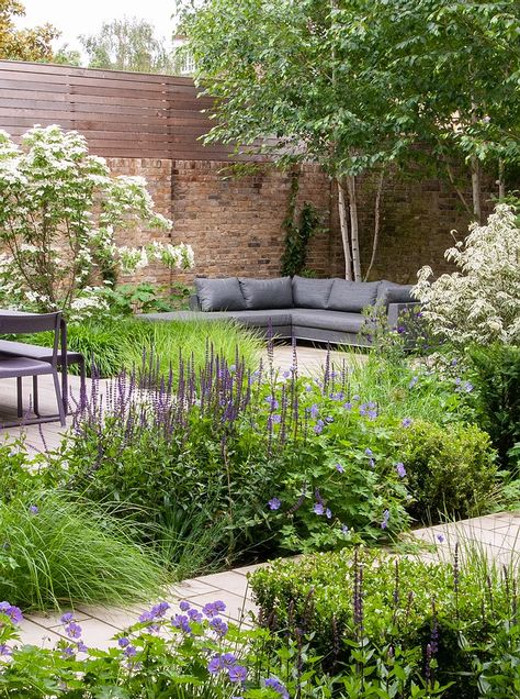 Town Garden Design, Contemporary Garden Planting, Modern Garden Planting Ideas, Front Garden Planting Ideas, Town Garden Ideas, Front Garden Planting, Contemporary Planting, Small Front Garden Ideas, Town Garden