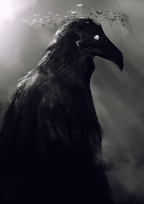 Crow Art, Black Bird, In The Dark, A Black, Birds, Water, Black, Art