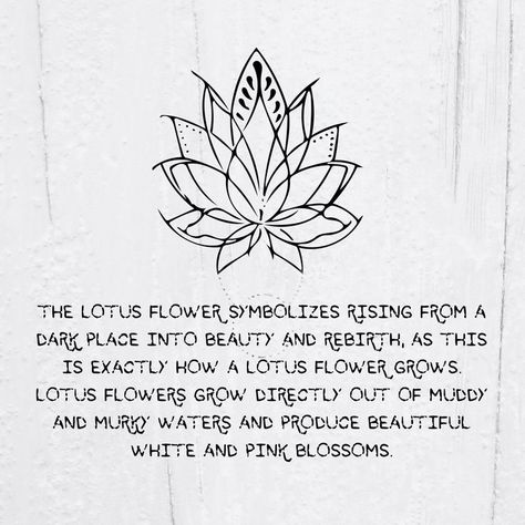 Synchronicity Tattoo, Lotus Meaning, Lotus Tattoo Meaning, Symbol Tattoos With Meaning, Lotus Flower Tattoo Meaning, Lotus Flower Meaning, Small Wave Tattoo, The Lotus Flower, Flower Tattoo Meanings