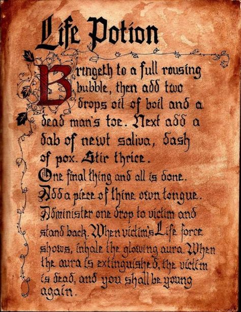 Hocus Pocus Winifred Sanderson Spell Book incantation:  Life Potion. Hocus Pocus Halloween Party Decorating &  Ideas. Hocus Pocus Spells, Hermanas Sanderson, Hocus Pocus Winifred, Hocus Pocus Spell, Halloween Spell Book, Green Punch, Hocus Pocus Spell Book, Hocus Pocus Party, Halloween Spells