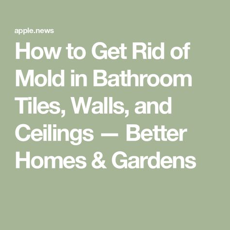 How to Get Rid of Mold in Bathroom Tiles, Walls, and Ceilings — Better Homes & Gardens How To Get Rid Of Mold On Bathroom Ceiling, How To Get Rid Of Bathroom Mold, Mold In Shower How To Get Rid Of, Cleaning Mold Off Bathroom Ceiling, How To Get Rid Of Mold On Walls, Mold On Bathroom Ceiling, Remove Mold Stains, Mold In Bathroom, Cleaning Tile Floors