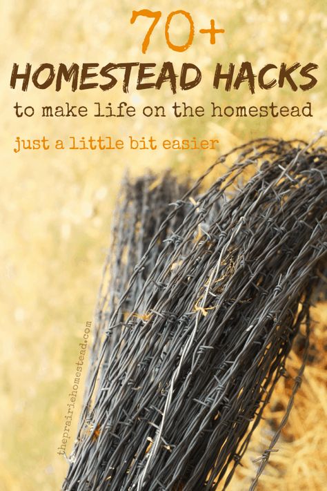 70+ Homestead Hacks | The Prairie Homestead The Prairie Homestead, Prairie Homestead, Homestead Farm, Homestead Gardens, Homesteading Skills, Homestead Living, Permaculture Design, Urban Homesteading, Mini Farm