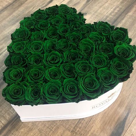 The Royal Roses on Instagram: “Who is in love with our Forest Green🌳 Luxury roses??!” Hybrid Tea Roses Care, Red Climbing Roses, Green Roses, Rose Seeds, Heart Shape Box, Flowers Bouquet Gift, Rose Pictures, Preserved Roses, Flowers Delivered