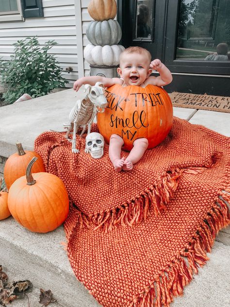 Halloween Pumpkin Baby Photoshoot, 5 Month Halloween Photoshoot, Family Pumpkin Carving, Halloween 4 Month Old Pictures, Newborn In Pumpkin Picture, First Halloween Picture Ideas, Baby In A Pumpkin Photoshoot, Baby In Pumkin Ideas Pictures, Baby With Pumpkin Pictures