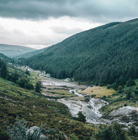 Things To Do - Wicklow National Park - National Parks of Ireland Wicklow Mountains, Round Tower, Hang Gliding, Forest Road, Mountain Bike Trails, Christmas Break, Walking Trails, My Bucket List, Nature Reserve