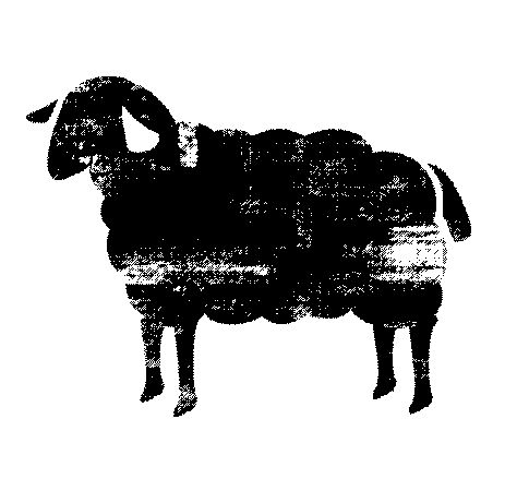 Sheep Graphic, Sheep Logo, Sheep Tattoo, Sheep Illustration, Black Sheep Of The Family, Baa Baa Black Sheep, African House, Sheep Art, Sheep And Lamb