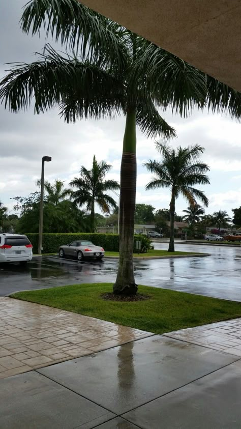 ♡☆ Florida Rain ☆♡ Florida Water Aesthetic, Florida Neighborhood Aesthetic, Rain In Florida, Florida Suburbs, Florida Aesthetic Night, Vacay Aesthetic, Broward County Florida, Bloxburg Town, Best Titles