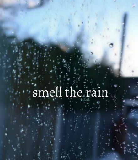 Smell the rain quotes rain water outdoors window wet smell Rain Quotes, Smell Of Rain, I Love Rain, Drops Of Water, Rain Storm, Love Rain, Singing In The Rain, Rainy Night, Sound Of Rain