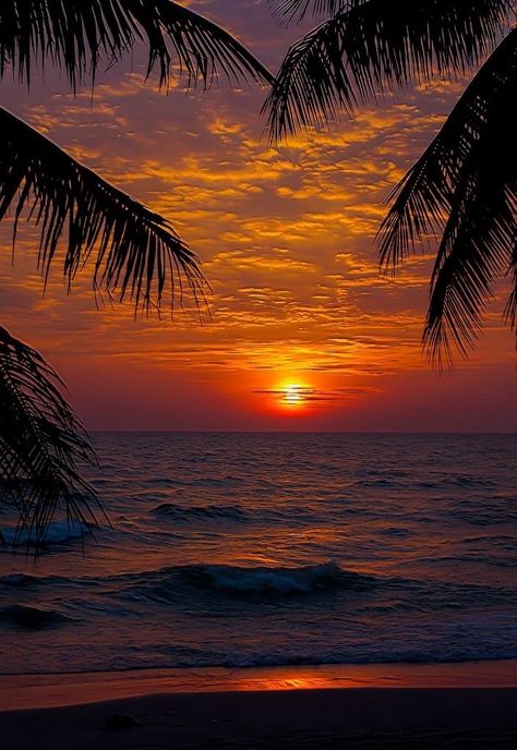 Amazing Sunsets, Sunset Wallpaper, Beautiful Sunrise, Sunset Pictures, Beach Scenes, Beautiful Sunset, Beach Sunset, Amazing Nature, Nature Pictures