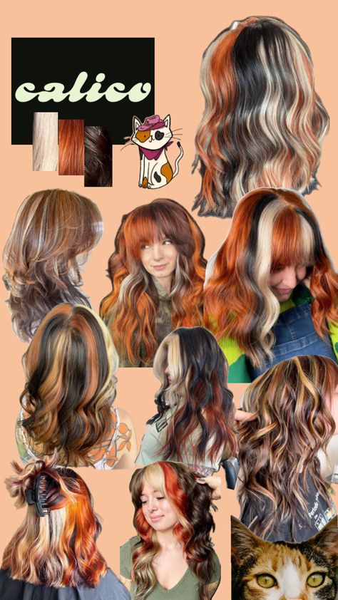 #calicohair #hairinspo #calicohairinspo #hair #calicocat #blonde #brunette #red Calico Cat Hair, Cat Haircut, Hair Color Placement, Calico Hair, Shortish Hair, Types Of Hair Color, Natural Brown Hair, Brunette Red, Cute Hair Colors