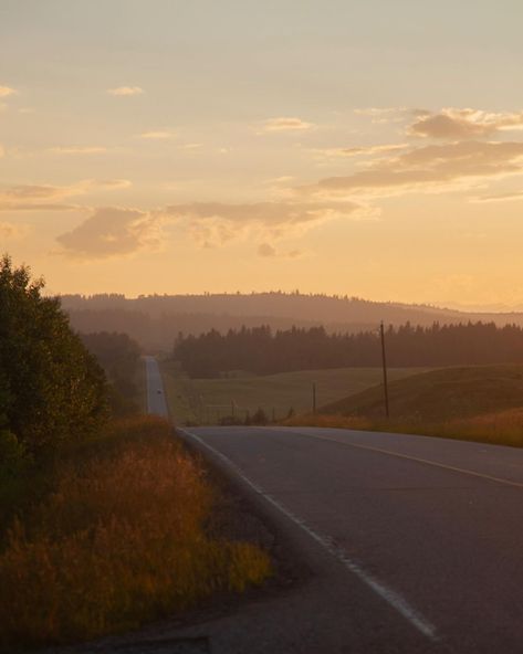 Some photos I took today, Some love would be greatly appreciated ❤️❤️ #road #country road #outdoors #photography #photos Costal Cowgirl, Cowgirl Photo, Leaves Falling, Country Road, Outdoors Photography, Falling Down, Photography Photos, Dream Life, Autumn Leaves