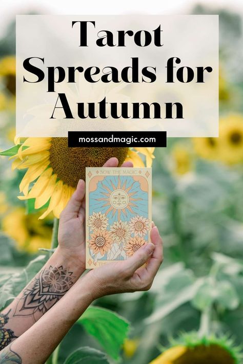 Autumn is a season of transformation, reflection, and preparation. It's a time to harvest the fruits of your labor, reflect on the year, and prepare for the quieter months ahead. Using tarot spreads specifically designed for autumn can help you gain insights and guidance that resonate with the energies of the season. Here are some seasonal tarot spreads to help you tap into autumn's unique wisdom. Harvest Moon Tarot Spread, Reflect On The Year, Tarot Meanings, Protection Spells, Ancient Wisdom, Oracle Cards, Tarot Spreads, Fall Fun, New Opportunities