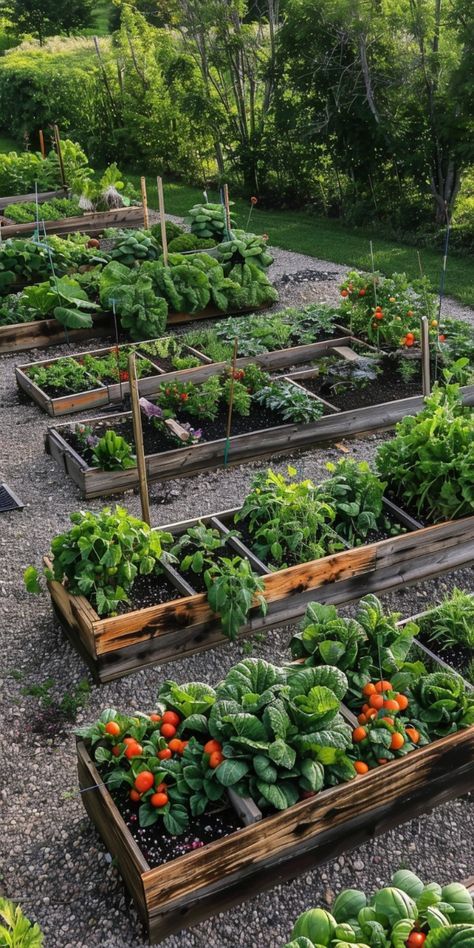 Veg And Herb Garden Ideas, Garden Fruits And Vegetables Aesthetic, Kitchen Garden Inspiration, Home Veggie Garden Ideas, Home Fruit And Vegetable Garden, Cute Garden Ideas Backyards, Vegetables Garden Design, Raised Veggie Garden Ideas, Garden Inspo Backyards