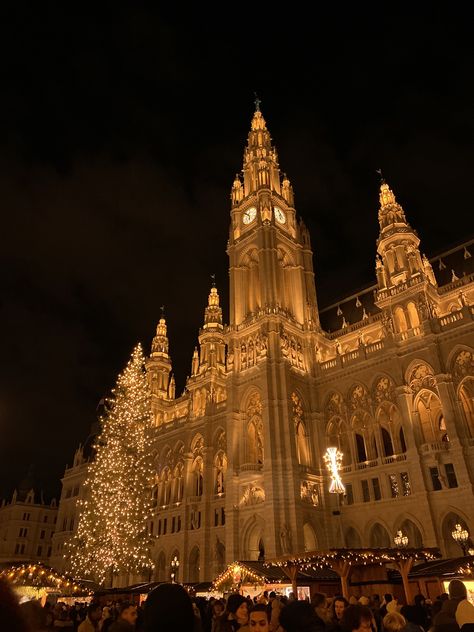 #vienna #rathaus #christmasmarket #christmas #christmasaesthetic #winter Natal, Vienna Austria In Winter, Vienna During Christmas, Vienna New Years Eve, Vienna In December, Vienna Christmas Aesthetic, Vienna Winter Aesthetic, Vienna Austria Christmas, Vienna December