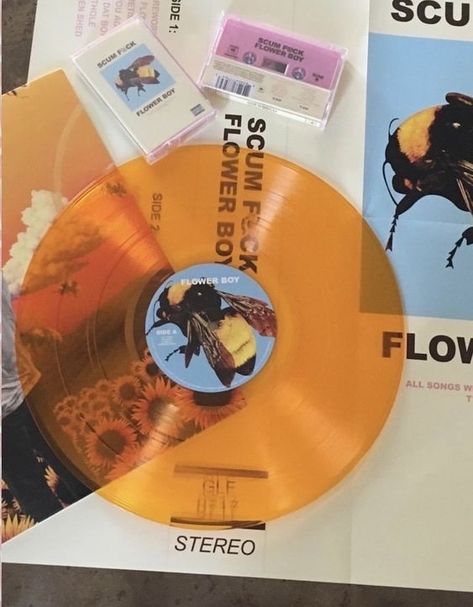 Tyler The Creator Orange, Sportswear Chic, Orange Vinyl, Orange Aesthetic, Tyler The Creator, We Heart It, The Creator, Vinyl, Orange