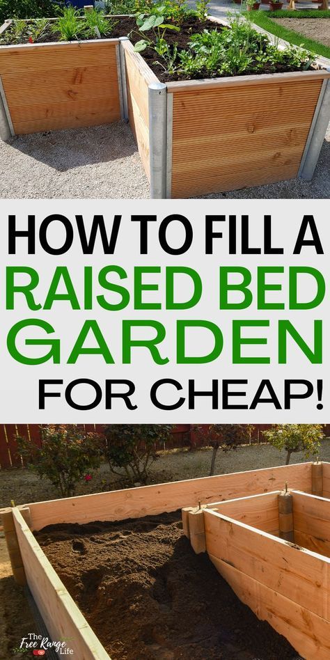 Fill A Raised Garden Bed, Backyard Raised Garden Beds, Backyard Raised Garden, Cheap Raised Garden Beds, Above Ground Garden, Raised Garden Beds Diy Vegetables, Garden Bed Layout, Raised Garden Bed Plans, Raised Bed Garden