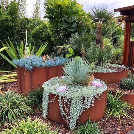 Container Water Gardens, Australian Native Garden, Landscaping Simple, House Landscaping, Steel Planters, Water Gardens, Front House, Rock Garden Landscaping, Native Garden