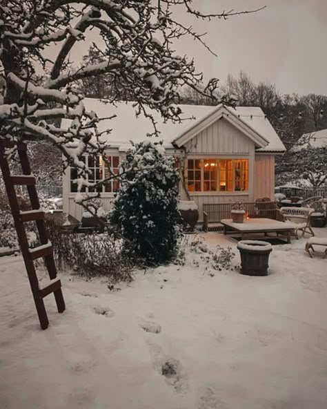 Step Inside a Cosy Swedish Allotment Cottage Dressed for Christmas Cottage Kitchen Renovation, Scandi Winter, Scandinavian Christmas Trees, Trip To Switzerland, Nordic Aesthetic, My Scandinavian Home, House Uk, Swedish Cottage, Cabin Christmas