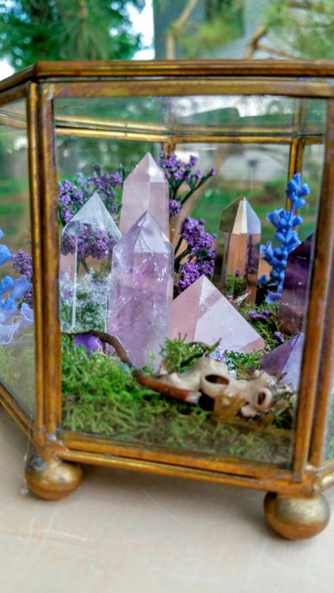 Accessory Box Geode Wedding, Crystal Room, Crystal Garden, Crystal Aesthetic, Terrarium Decor, Terrariums Kits, Garden Terrarium, Glass Box, Terraria