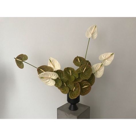 Hermes Display, Anthurium Arrangement, Plant Desk, Flower Styling, Floral Aesthetics, Dubai Wedding, Rental Decorating, Artificial Flower Arrangements, Bedroom Inspo