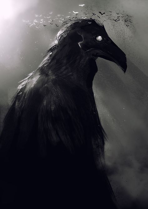 ArtStation - Crow God, Kevin Macio Black, Water, Art, Black Bird, In The Dark, A Black, Birds