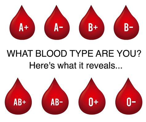 What Does Your Blood Type Reveal About Your Personality? Blood Type B Personality, B Negative Blood Type, B Positive Blood Type, O Positive Blood, Blood Type Personality, Rarest Blood Type, Type B Personality, Ab Blood Type, Rh Negative