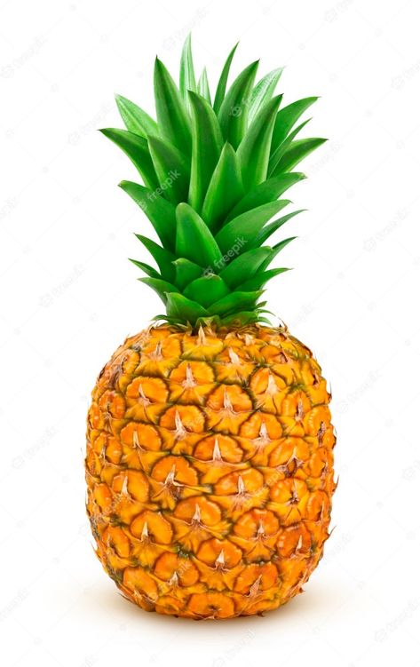 Picture Of Pineapple, Fruits Pictures, Pineapple Pictures, Fruit Images, Pineapple Photo, Fruit Pictures, Pine Apple, Fruit Pineapple, Ripe Pineapple