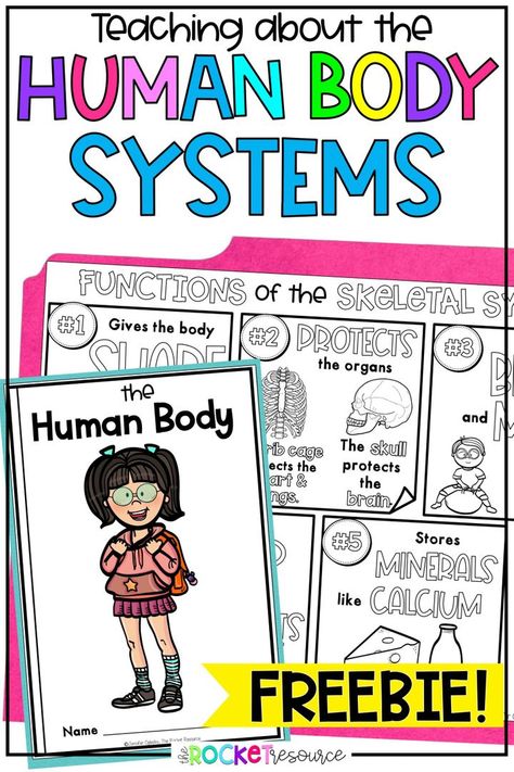 Teaching about the human body systems doesn't have to be difficult! Get this FREE fact book and coloring notes to get your unit started. https://therocketresource.com/teaching-the-human-body-systems/ Teaching Body Systems Elementary, 1st Grade Human Body Unit, Human Body Systems Anchor Chart, Human Body 2nd Grade, Human Body Kindergarten Free Printables, Human Body Systems Projects Middle School, Body Systems Worksheets Free Printable, Grade 5 Human Body Systems, Body Unit Preschool