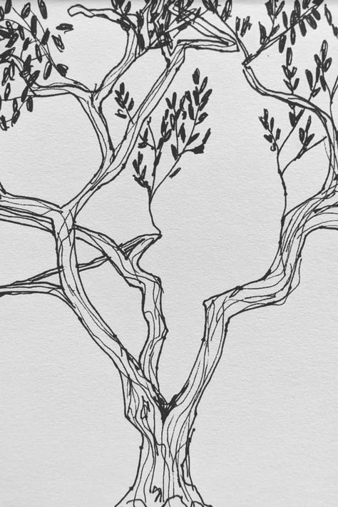 Draw An Olive Tree, Line Art Tree Drawing, Olive Tree Sketch Art, Olive Tree Line Art, Olive Tree Illustration Drawings, Fruit Tree Sketch, Tree Line Illustration, Abstract Tree Drawing, Olive Leaves Drawing