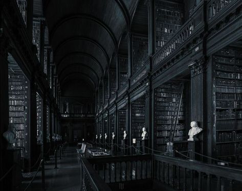 Dark College Aesthetic, Hogwarts Library Aesthetic, Gothic Library Aesthetic, Durmstrang Aesthetic, Dark Library Aesthetic, Dark Library, Library Dark, Black Library, Aesthetic Library