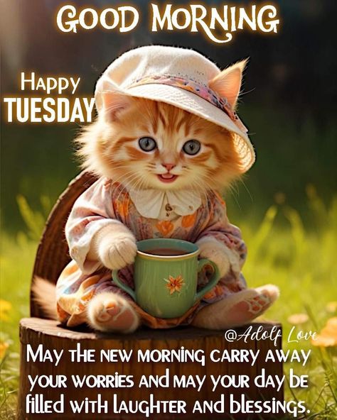 Good Morning Thursday Cats, Thursday Greetings Good Morning, Good Morning Dogs, Cats Good Morning, Good Morning Dog, Thursday Prayer, Good Tuesday Morning, Happy Tuesday Morning, Tuesday Greetings